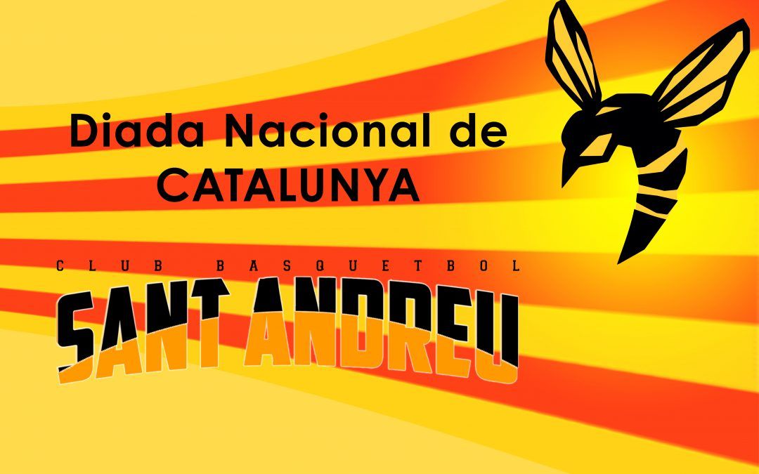 Diada Nacional 2020